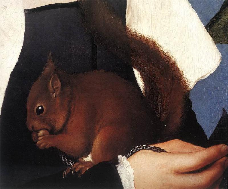 Portrait of a Lady with a Squirrel and a Starling (detail) sf, HOLBEIN, Hans the Younger